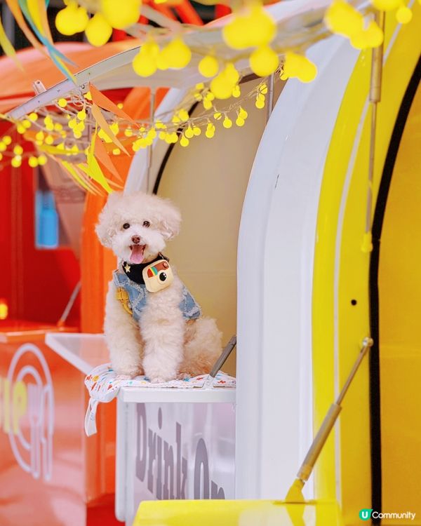 The Southside又有嘢玩 #寵物友善商場 