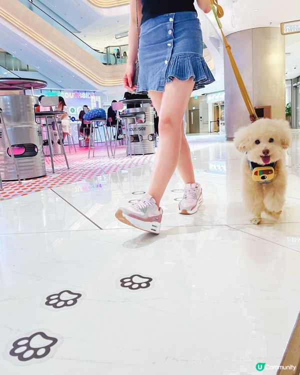 The Southside又有嘢玩 #寵物友善商場 