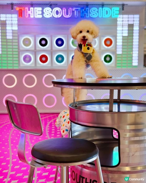 The Southside又有嘢玩 #寵物友善商場 