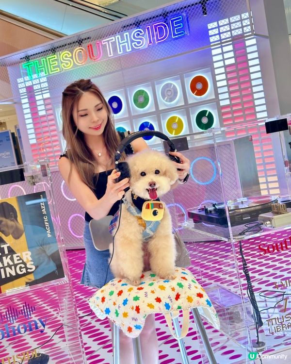 The Southside又有嘢玩 #寵物友善商場 