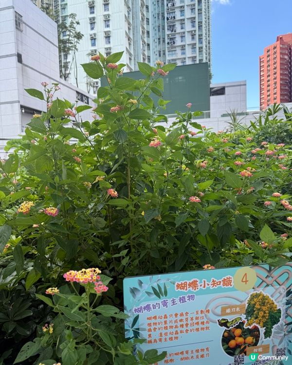 隱世花園
