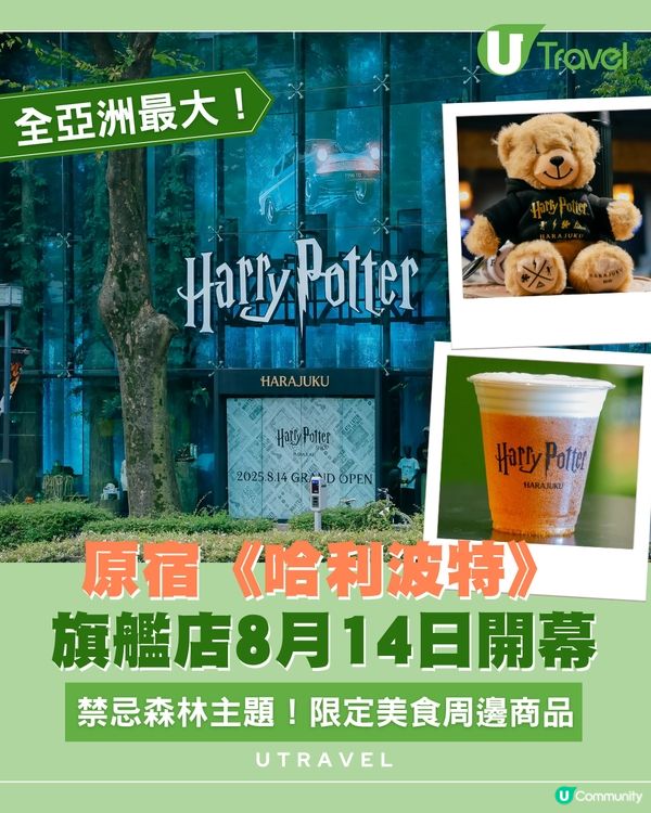 原宿《哈利波特》旗艦店8月14日開幕！全亞洲最大！禁忌森林主題！限定美食周邊商品