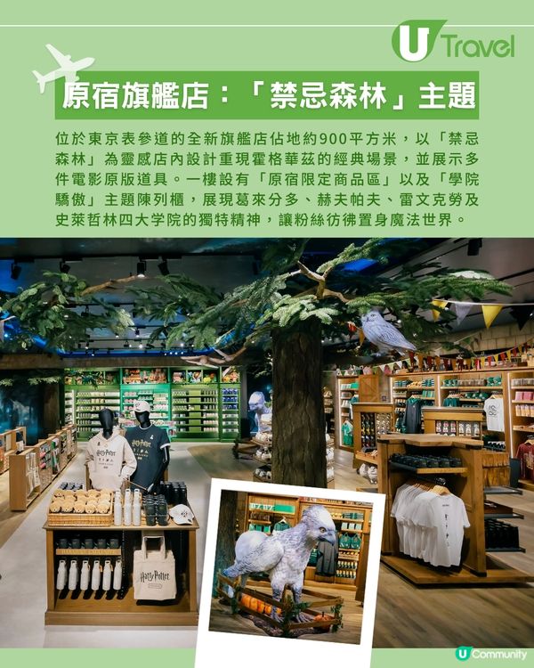 原宿《哈利波特》旗艦店8月14日開幕！全亞洲最大！禁忌森林主題！限定美食周邊商品
