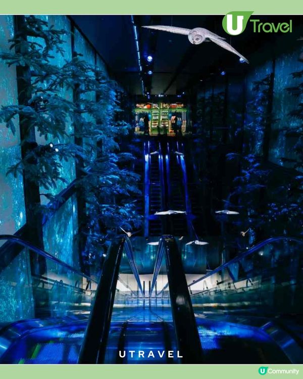 原宿《哈利波特》旗艦店8月14日開幕！全亞洲最大！禁忌森林主題！限定美食周邊商品