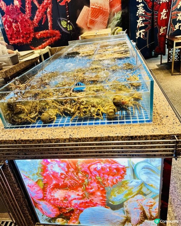 福田香格里拉自助餐🤤！現蒸海鮮超正！🦞