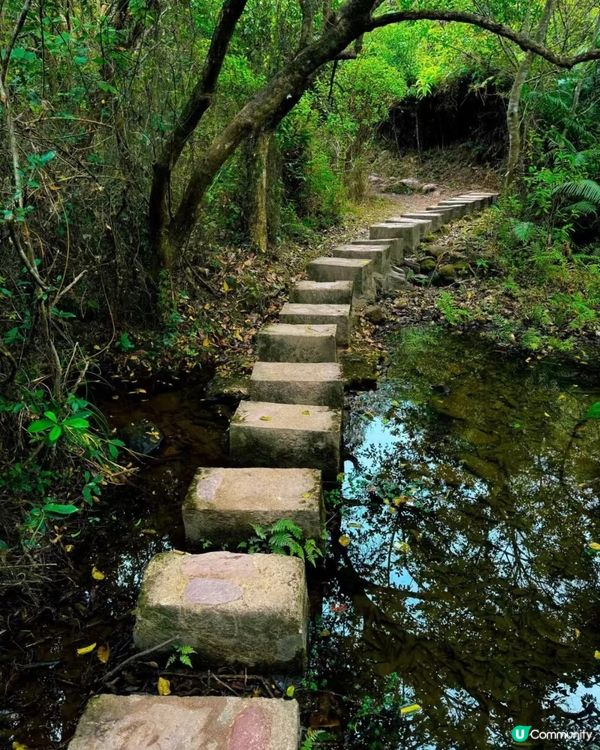 荔枝窩一日遊！行山睇靚景🏞️，打卡一流📸！