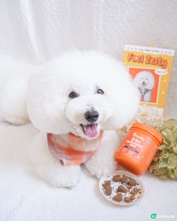 美國品牌🇺🇸8合1軟粒 狗狗健康保養🐶 輕鬆get 