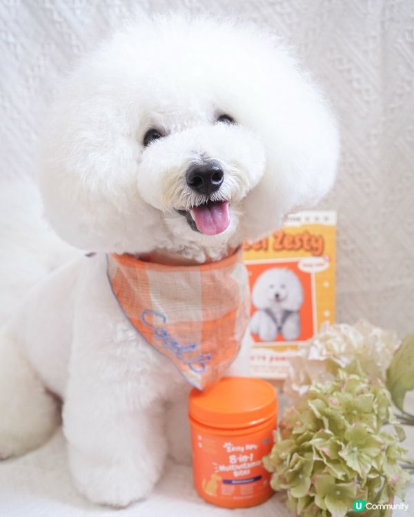 美國品牌🇺🇸8合1軟粒 狗狗健康保養🐶 輕鬆get 