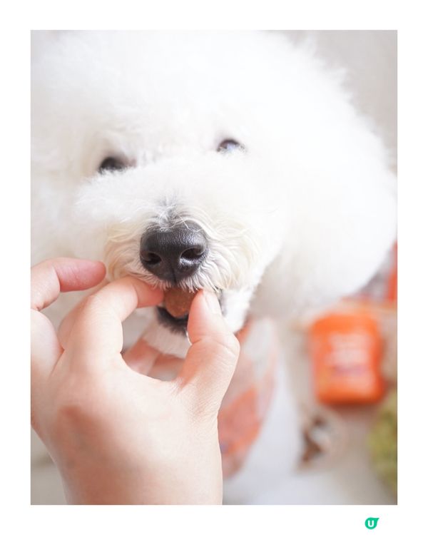 美國品牌🇺🇸8合1軟粒 狗狗健康保養🐶 輕鬆get 