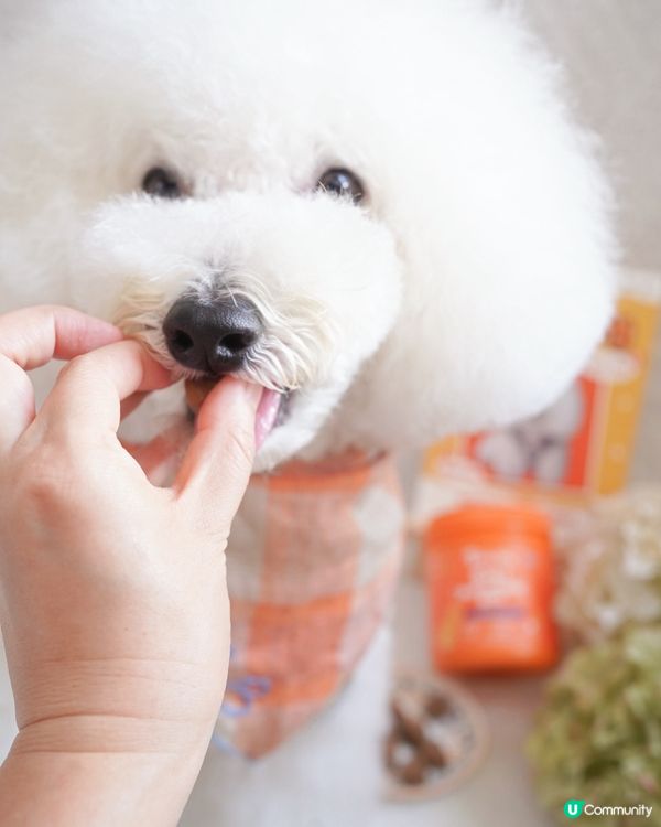 美國品牌🇺🇸8合1軟粒 狗狗健康保養🐶 輕鬆get 