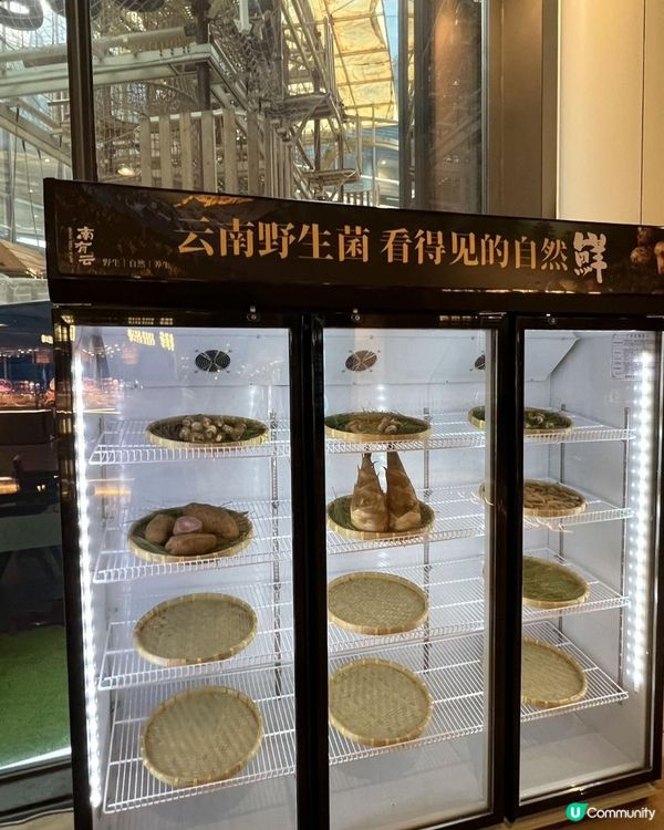 深圳都食到深山野菌盛宴？