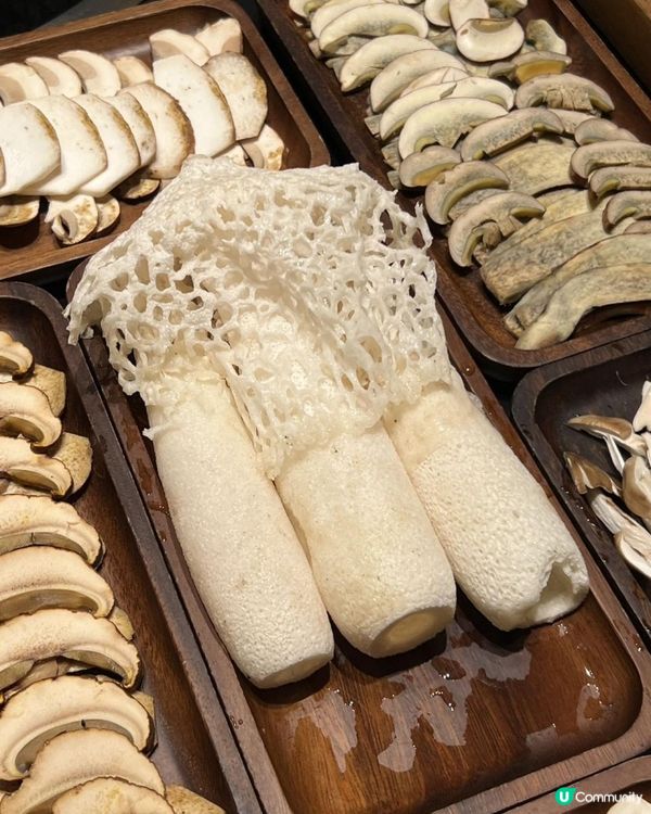 深圳都食到深山野菌盛宴？