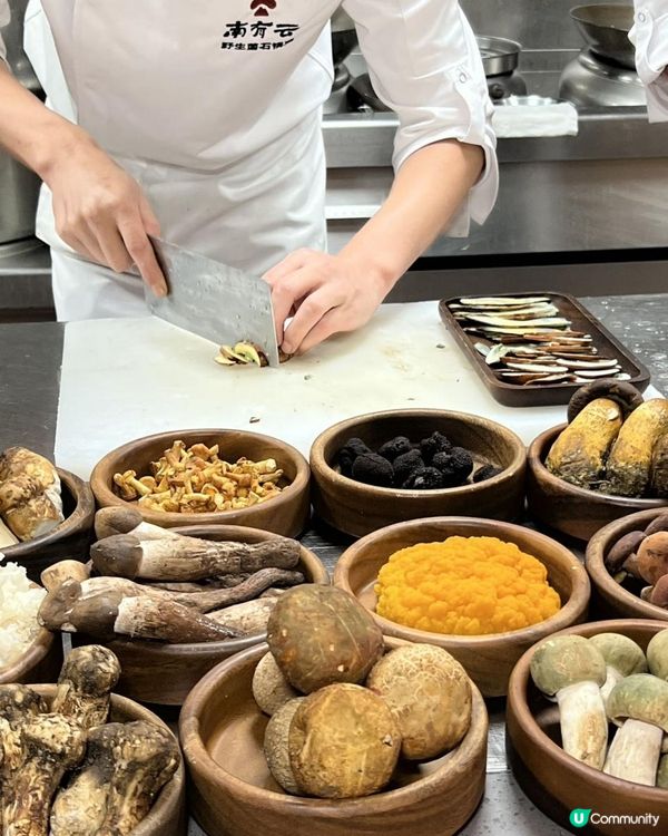 深圳都食到深山野菌盛宴？