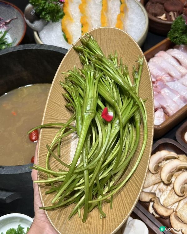 深圳都食到深山野菌盛宴？