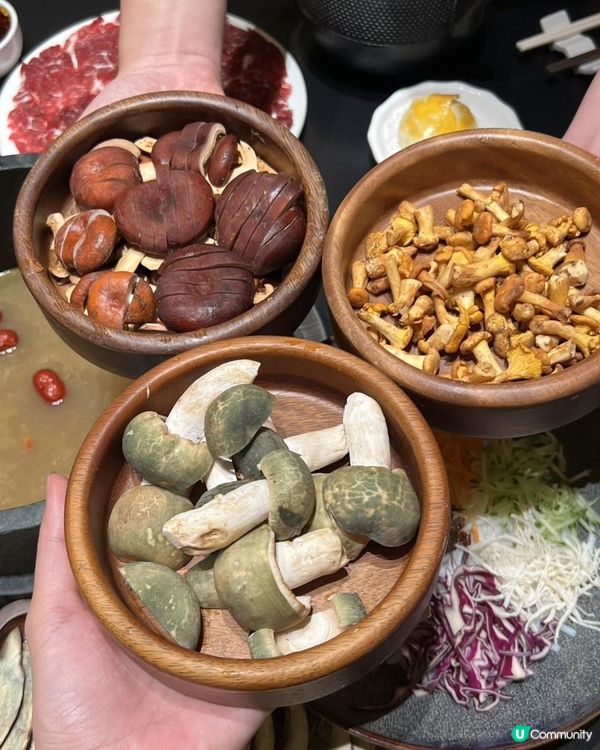 深圳都食到深山野菌盛宴？