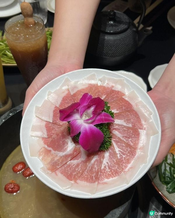 深圳都食到深山野菌盛宴？