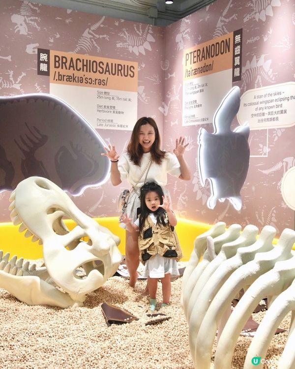 暑假好去處：恐龍主題工作坊！打卡開心又好玩！