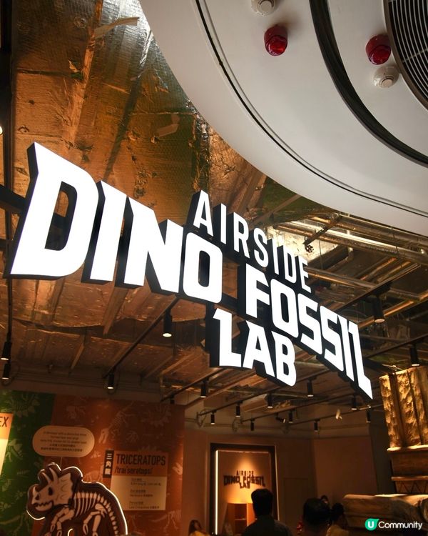 暑假好去處：恐龍主題工作坊！打卡開心又好玩！