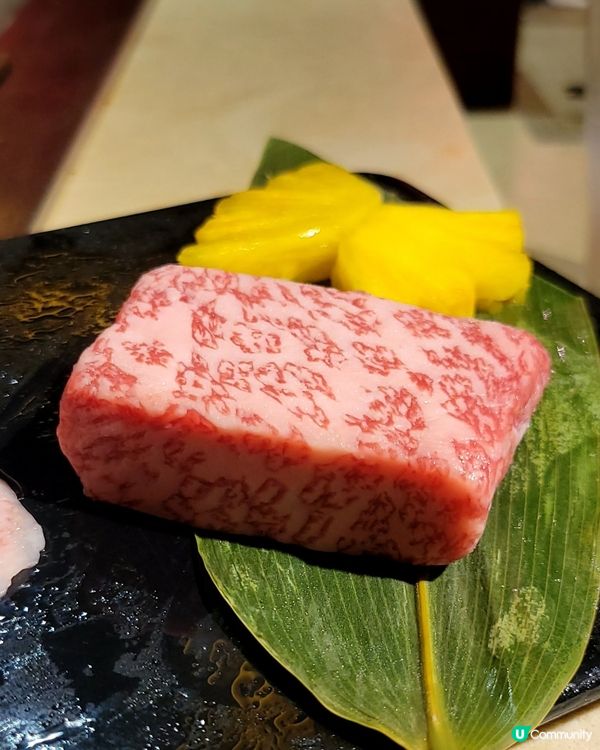 秋田鐵板燒🔥12道菜頂級享受！😋 龍蝦鮑魚鵝肝和牛🤤