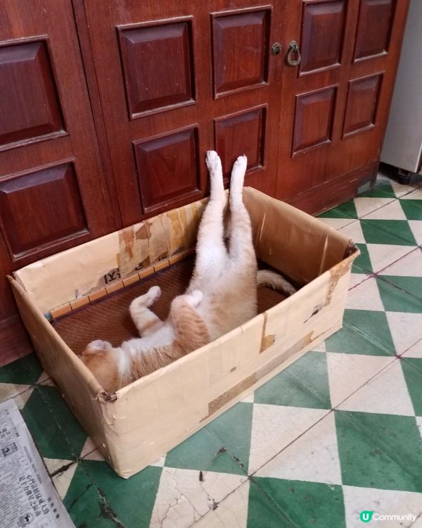 真係瞓得爽🥰🤗🤣