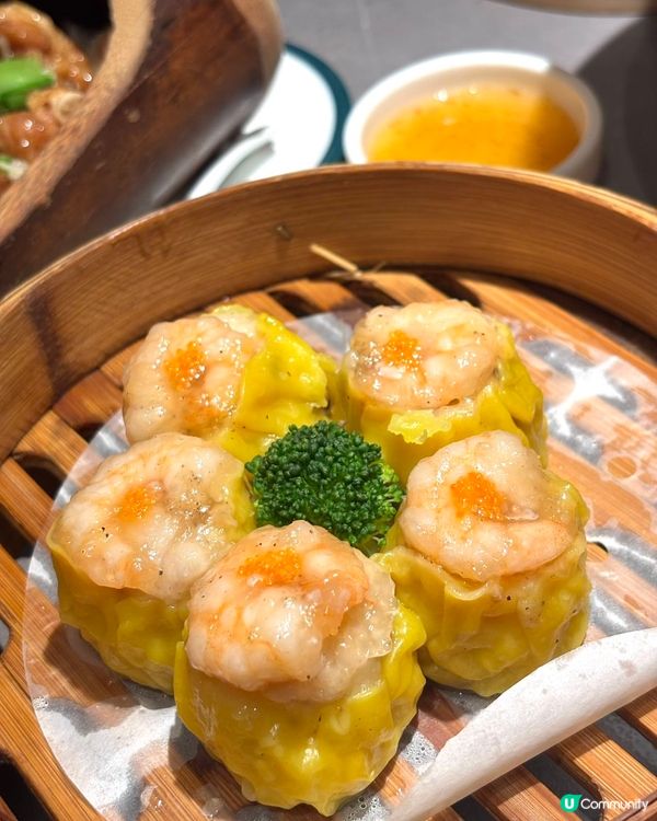 深圳茶點寶藏！儲香樓開餐🤤 點心控衝呀！