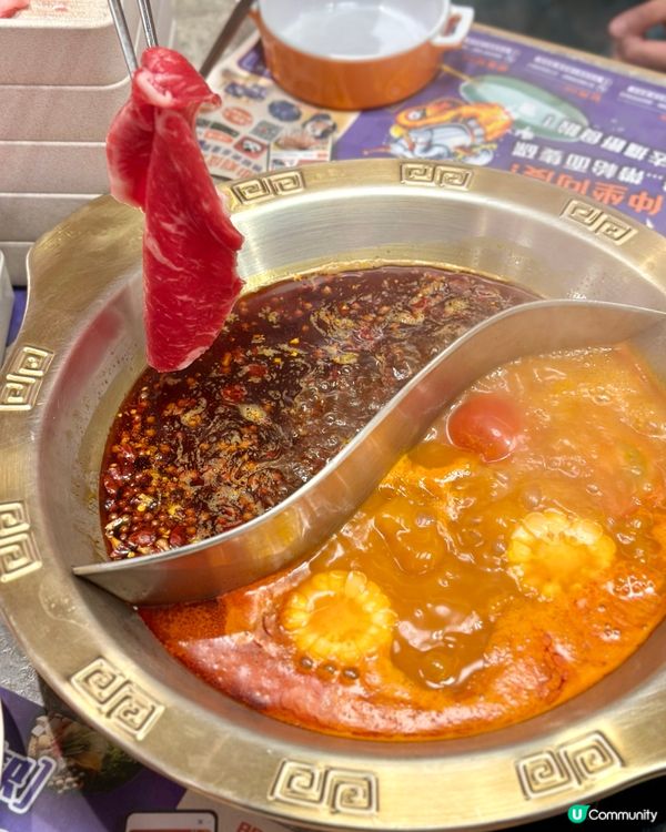 輕鬆回本😝任食大頭蝦乳鴿火鍋放題🔥