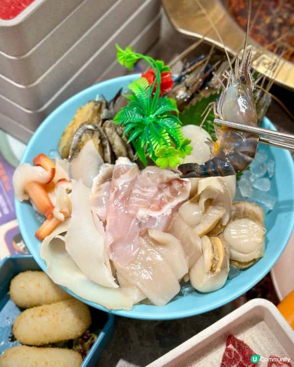 輕鬆回本😝任食大頭蝦乳鴿火鍋放題🔥