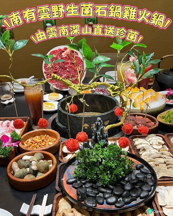 深圳食菇菌火鍋🤤！北上先有得食！🍄