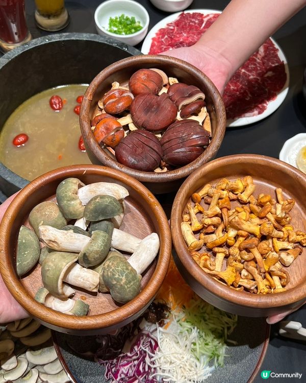 深圳食菇菌火鍋🤤！北上先有得食！🍄