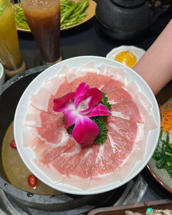 深圳食菇菌火鍋🤤！北上先有得食！🍄