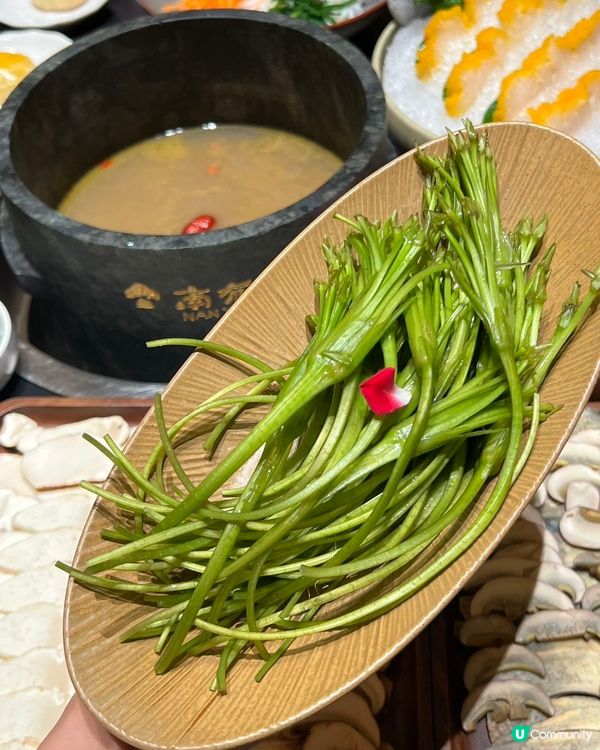 深圳食菇菌火鍋🤤！北上先有得食！🍄