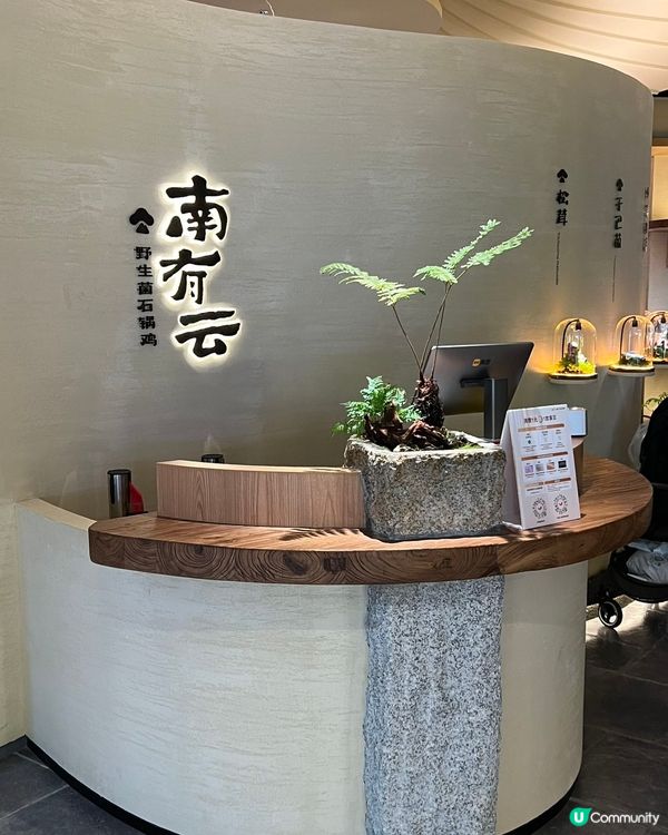 深圳食菇菌火鍋🤤！北上先有得食！🍄