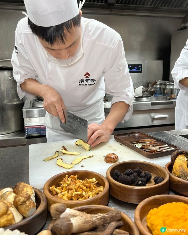 深圳食菇菌火鍋🤤！北上先有得食！🍄