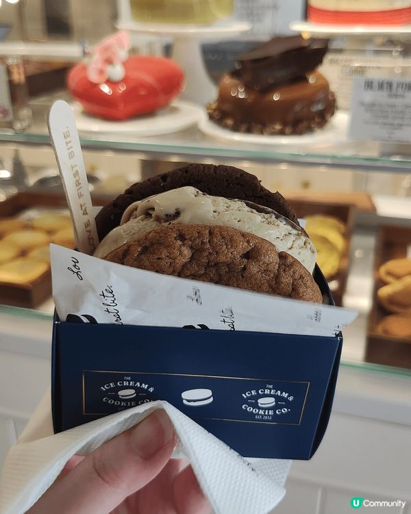 🇸🇬新加坡知名雪糕店，The Ice Cream & Coo...