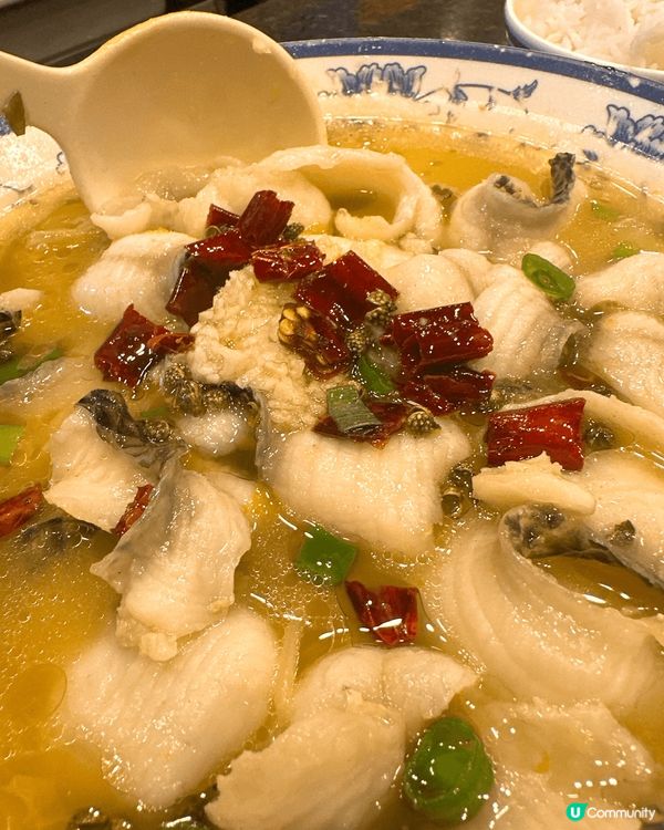 酸辣迷注意⚠️$66食到酸菜魚飯‼️ 深水埗人氣川菜小店🌟❤️