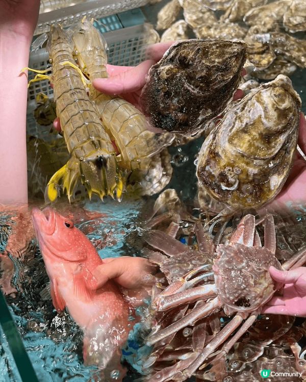 喜歡食海鮮推介去深圳灣海岸城觀蠔海鮮，餐廳擁有1000mh超...