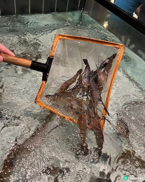 深圳平價海鮮燒烤必選李小太！