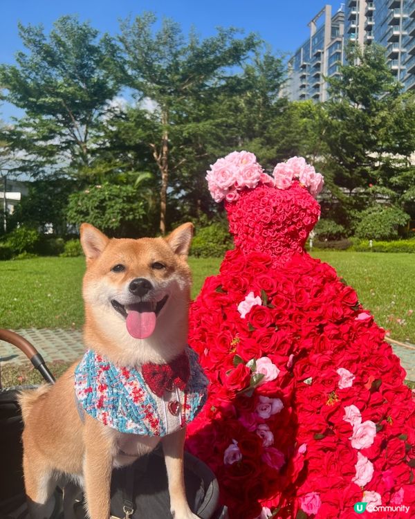 🌹Rose Fantasia 盛夏玫瑰奇緣 限定活動