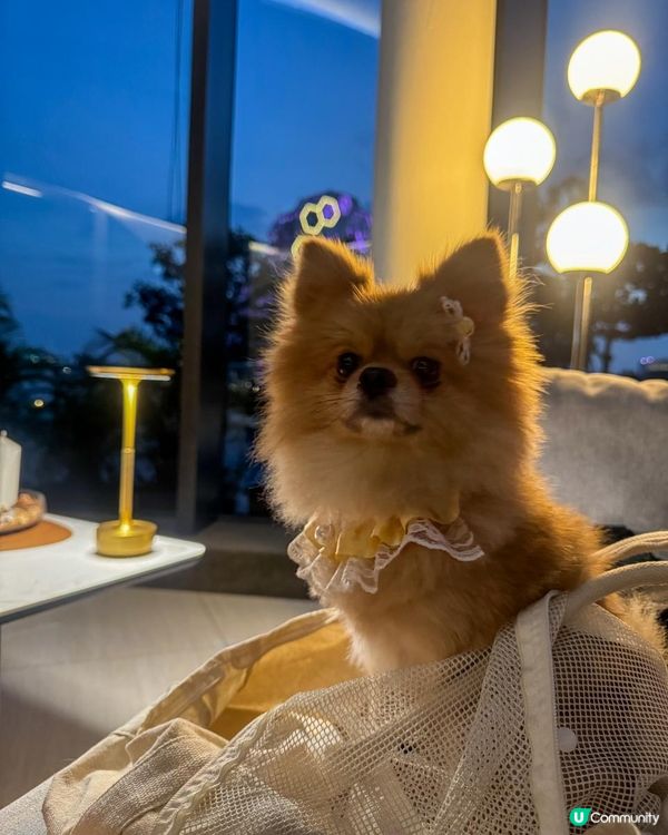 ✨高雄港邊約會必收藏！