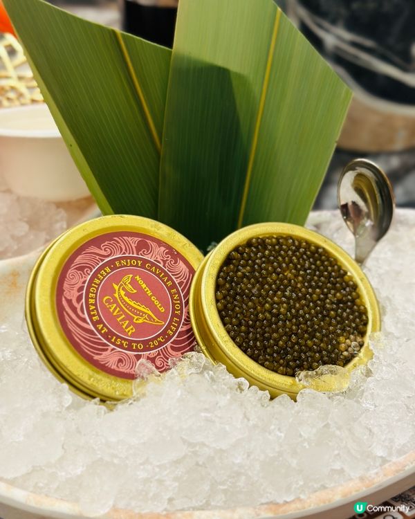 日本海膽魚子醬放題🤤！3小時任食！😋