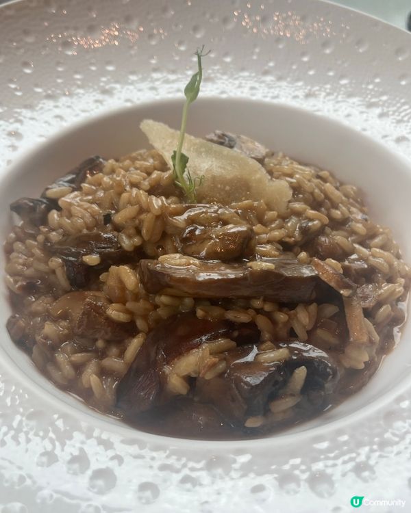 純白色落地玻璃屋😋大推意大利飯🥰🍃