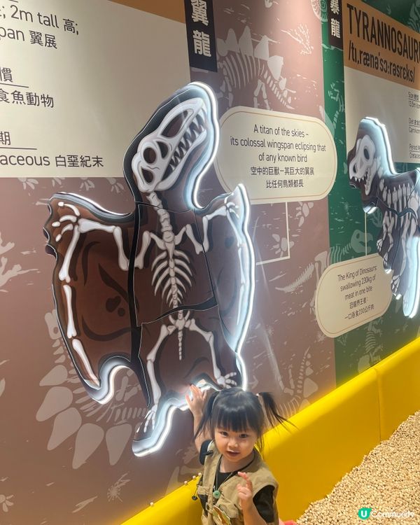 果果變身小小考古學家🦖！暑假必去！