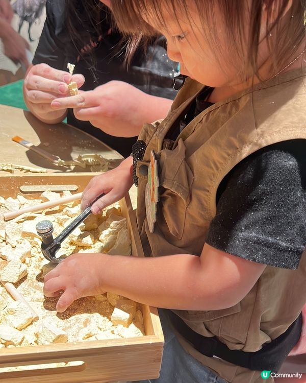 果果變身小小考古學家🦖！暑假必去！