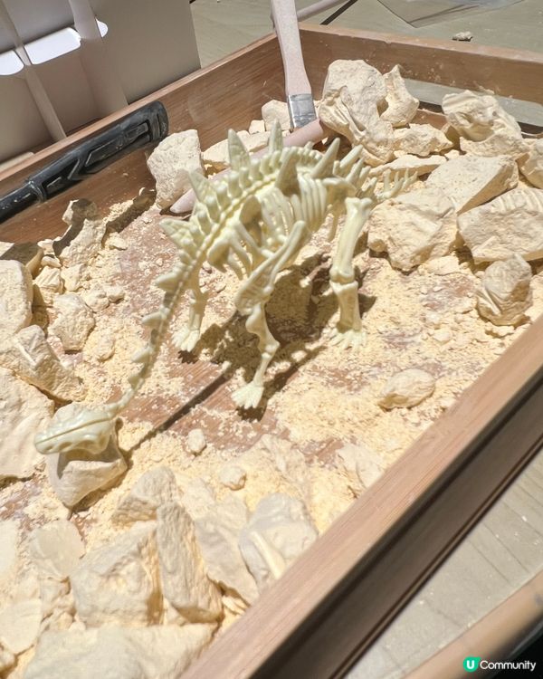 果果變身小小考古學家🦖！暑假必去！