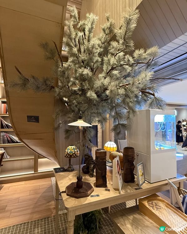 夏祭打卡📸！銅鑼灣喫茶，煙火味！🎆