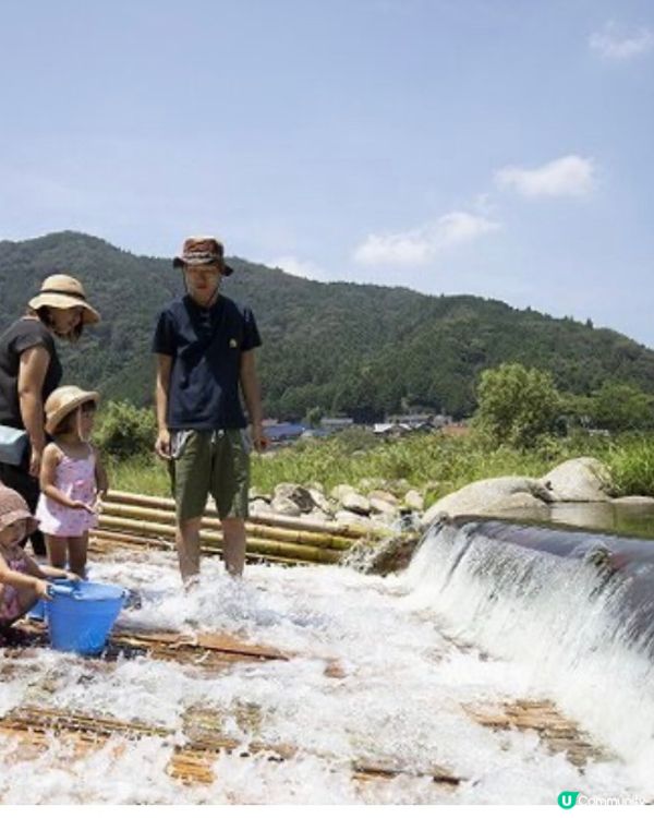 夏日捉魚燒烤親子樂🩷