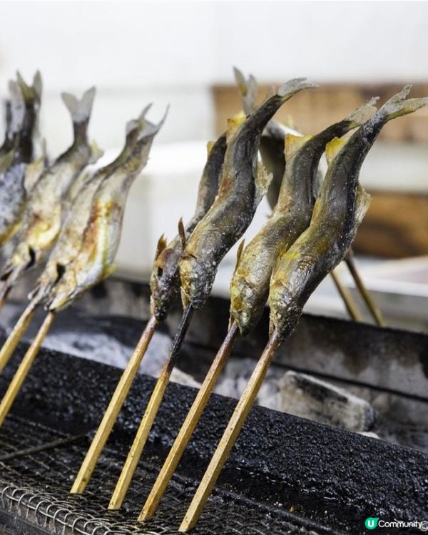 夏日捉魚燒烤親子樂🩷