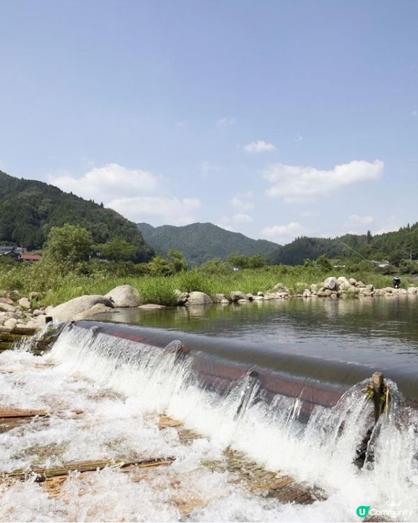 夏日捉魚燒烤親子樂🩷