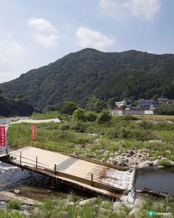 夏日捉魚燒烤親子樂🩷