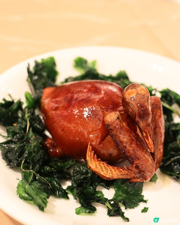 必試香口薑米鴿，潮州美撰令人一試難忘